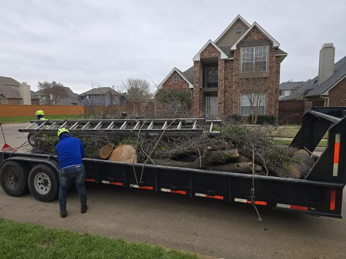Expert Tree Fertilization with proper safety equipment in Hammondsville